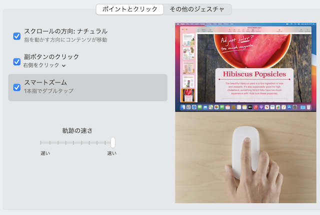 「Magic Mouse(マジックマウス)が使いにくいー」という方へ〜使い方解説 | felice music labs – felice音楽教室